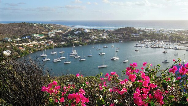 A coastal town with a marina filled with sailboats, surrounded by hills and residential buildings.