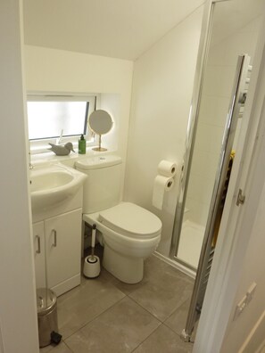 Bathroom - A rare opportunity to stay in a unique 2 storey lodge in Lymington (Lymington)