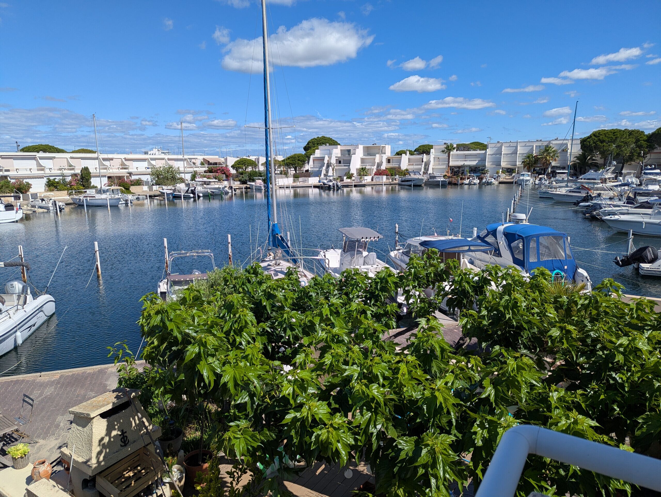 Marina