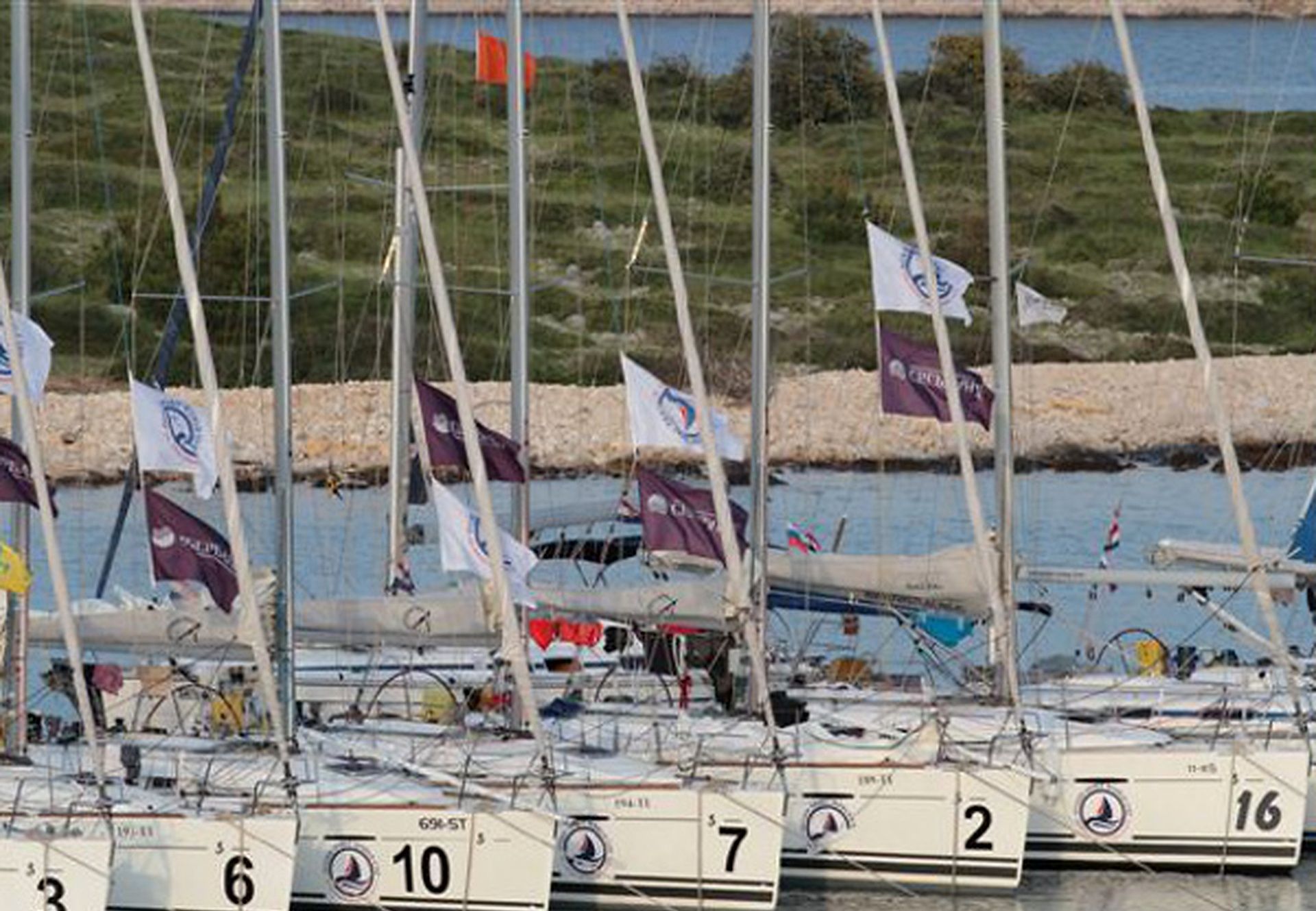 Un port de plaisance où de nombreux voiliers sont amarrés côte à côte.