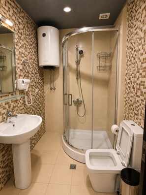 Sèche-cheveux, serviettes fournies, papier toilette