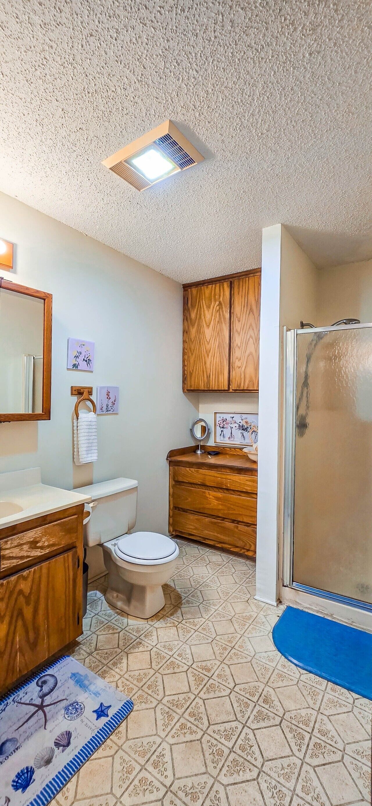 Secador de cabelo, toalhas de banho