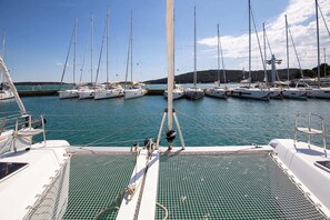 A marina with multiple sailboats docked, a clear sky, and calm water.
