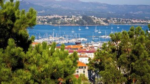 A coastal town with a marina, buildings with red roofs, and pine trees in the foreground.