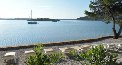 Sun-kissed Sailing Adventure in Istria, Croatia