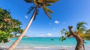 Ein Strand mit klarem türkisblauem Wasser, Palmen und Booten.