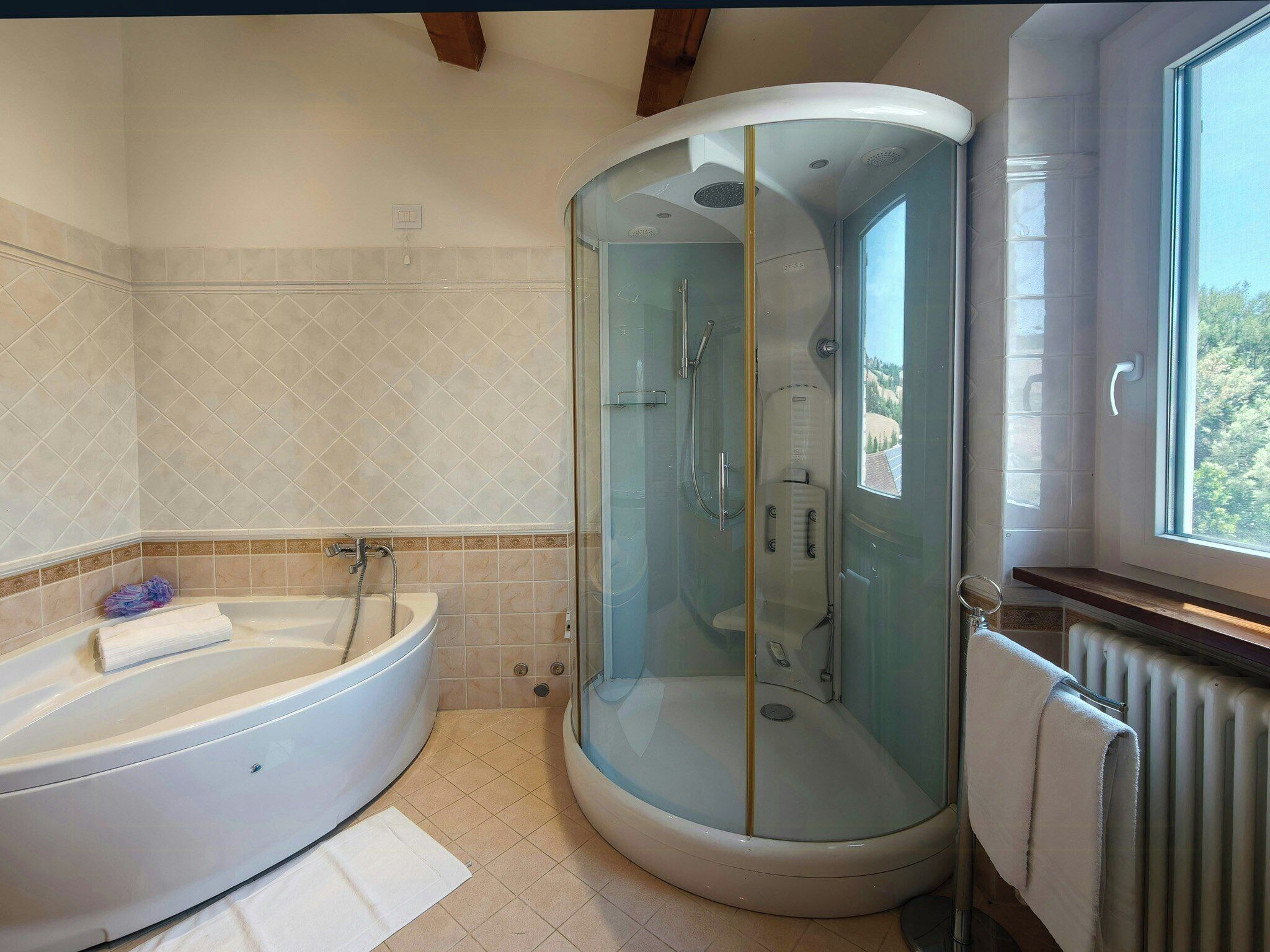 A bathroom with a glass-enclosed shower, a bathtub, and a window providing a view.