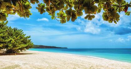 Caribbean Bliss: Sun-soaked Sailing Adventure from Granada, San Jorge