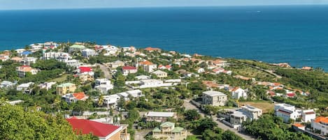 A coastal residential area with houses, roads, and a view of the ocean.