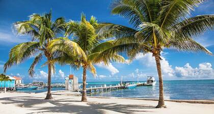 Caribbean Bliss: Sun-soaked Sailing Adventure from Belize to Cayo Ámbar Gris, San Pedro