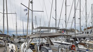A marina with multiple sailboats docked, including one named 'HOPE ZADAR'. - Sun-Kissed Sailing Adventure in Zadar, Croatia (Zadar)