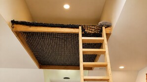 A loft bedroom with a wooden ladder leading to a netted sleeping area, a dark sofa, and a bookshelf.