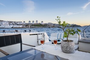 A table with two glasses of wine, a potted plant, and a view of a coastal town with windmills.