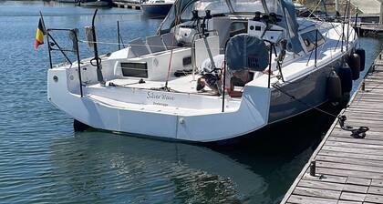 Sun-Kissed Sailing Adventure in Golfo de Morbihan, Brittany