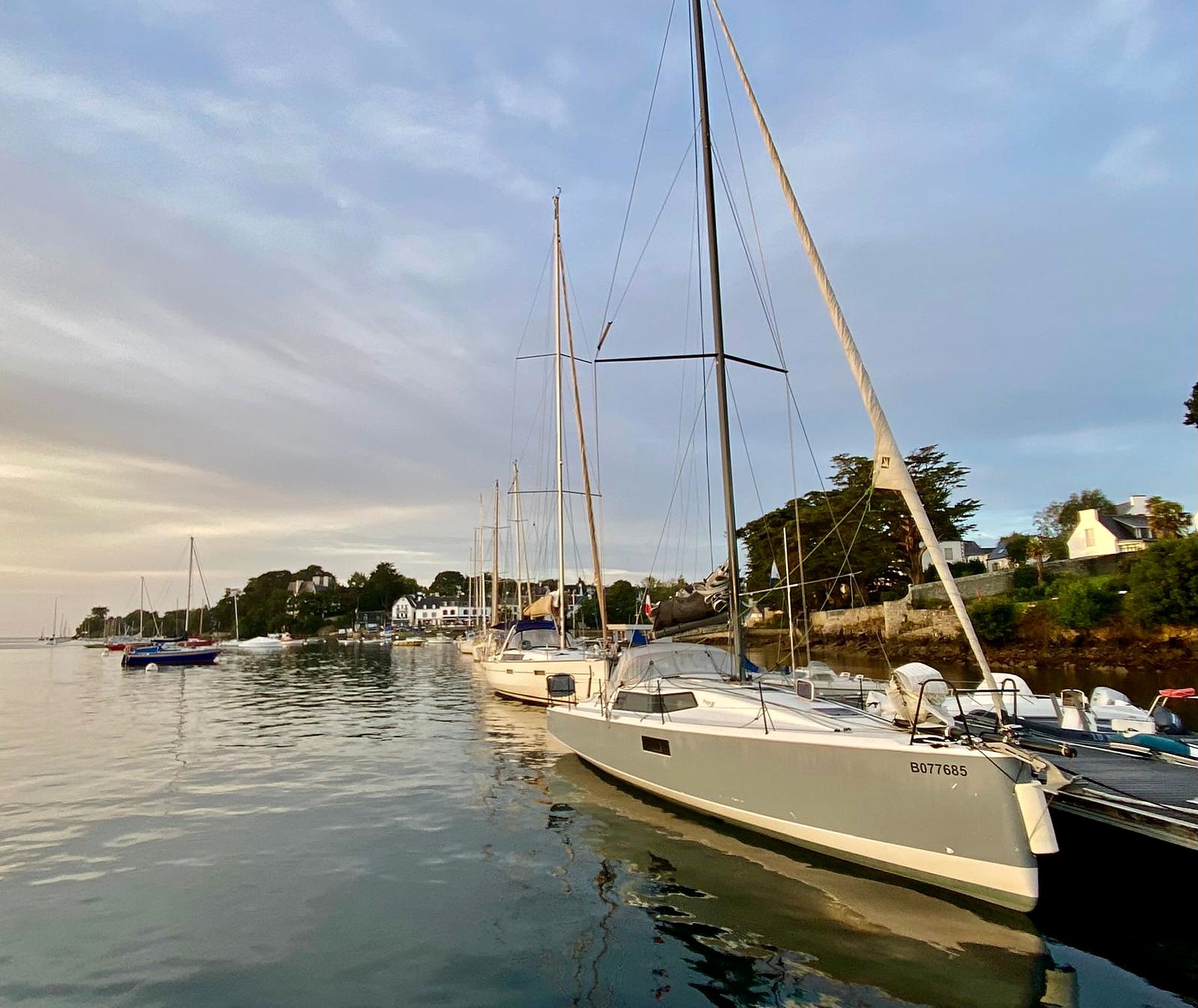 A marina with several sailboats docked, calm water, and a clear sky.