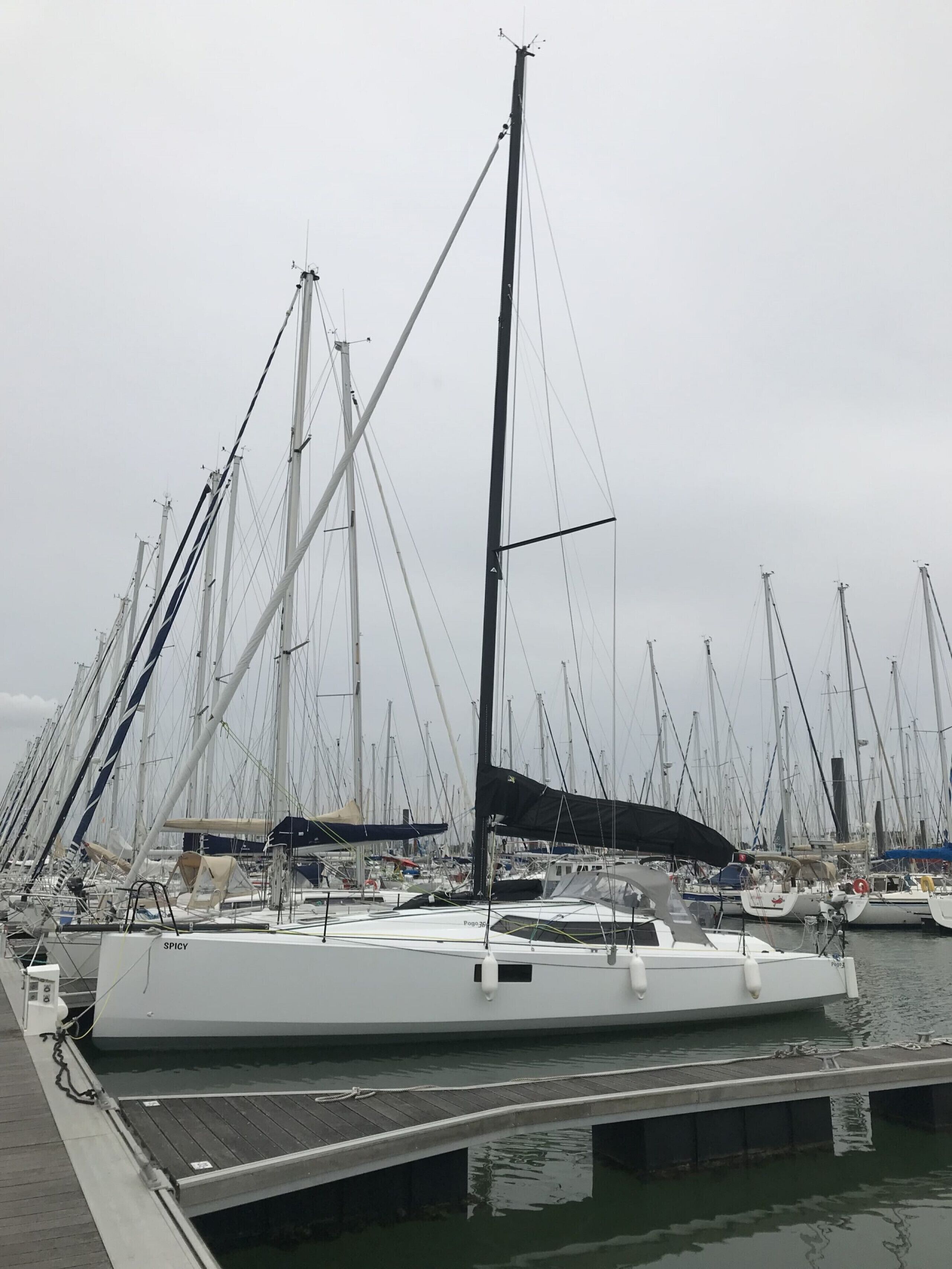 Ein Yachthafen mit mehreren dort liegenden Segelbooten.