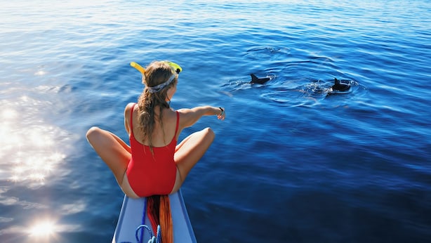 Eine Person in einem roten Badeanzug auf einem Boot, dem Meer zugewandt, während Delfine in der Nähe schwimmen.