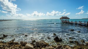 A rocky shoreline with a wooden pier leading to a thatched-roof structure. - Rooftop Penthouse in Akumal jungle — steps to the beach (AKUMAL)