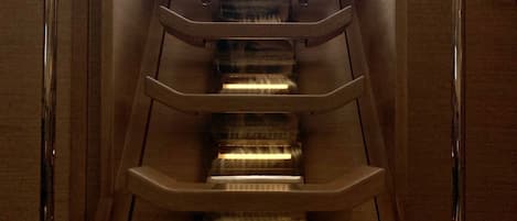 Ein modernes Interieur mit einer zentralen Treppe, einem Fenster oben und einer Tür rechts.