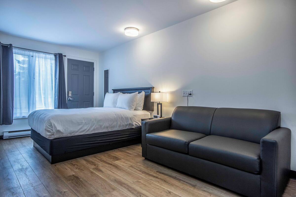Standard Double Room, 1 Queen Bed with Sofa bed, Non Smoking | Iron/ironing board, free WiFi