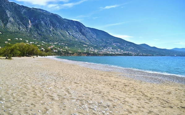 A beach with pebbles, a mountain, and houses in the background.
