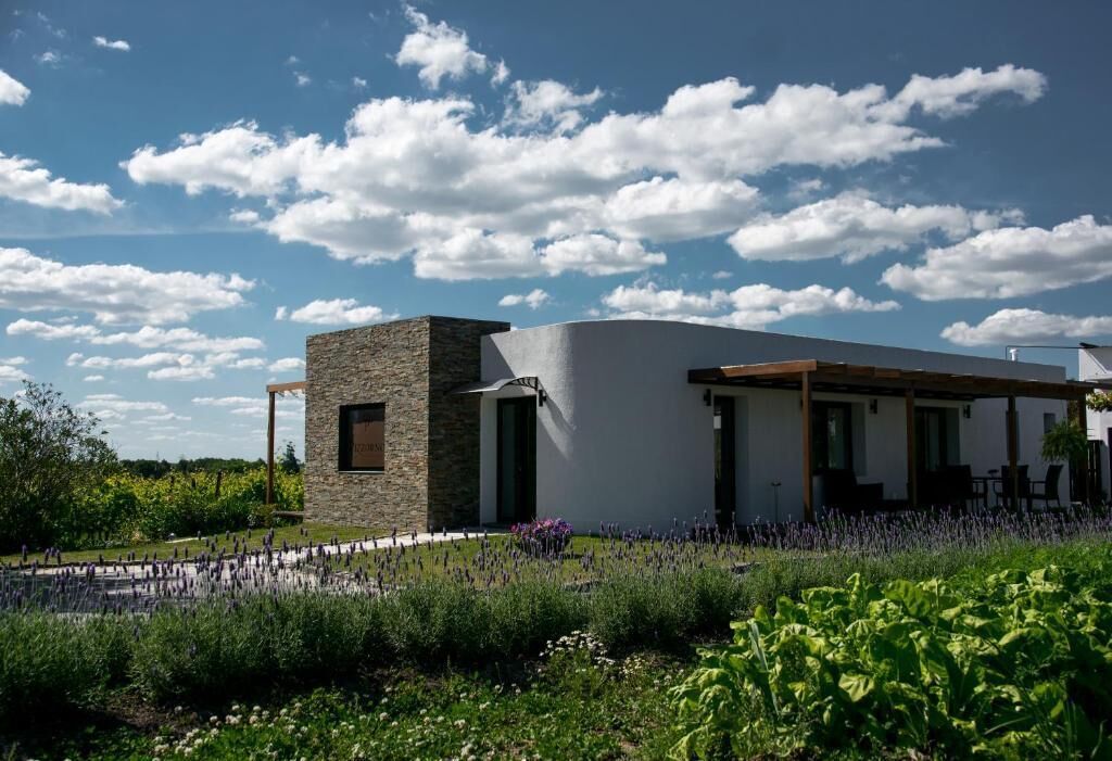 Moderni talo, jossa on kiviverhous, suuret ikkunat ja puutarha, jossa kasvaa monenlaisia kasveja.