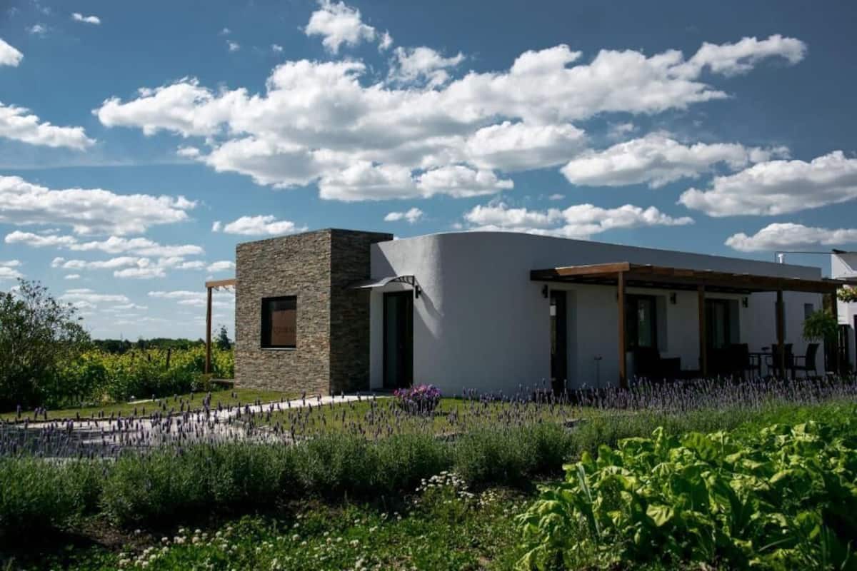 Una casa moderna con fachada de piedra, ventanas amplias y un jardín con diversas plantas.