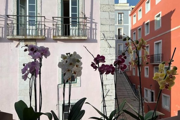 House, Balcony, City View | Property grounds