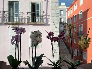 Un balcón con orquídeas en macetas, un edificio rosa con una ventana y un edificio rojo con una escalera.