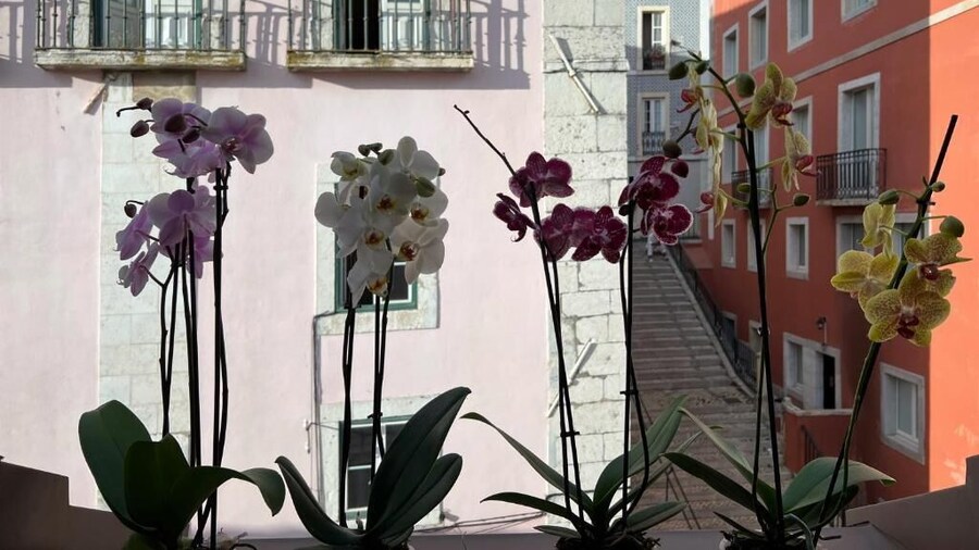 AZZULEA Rossio Apartments