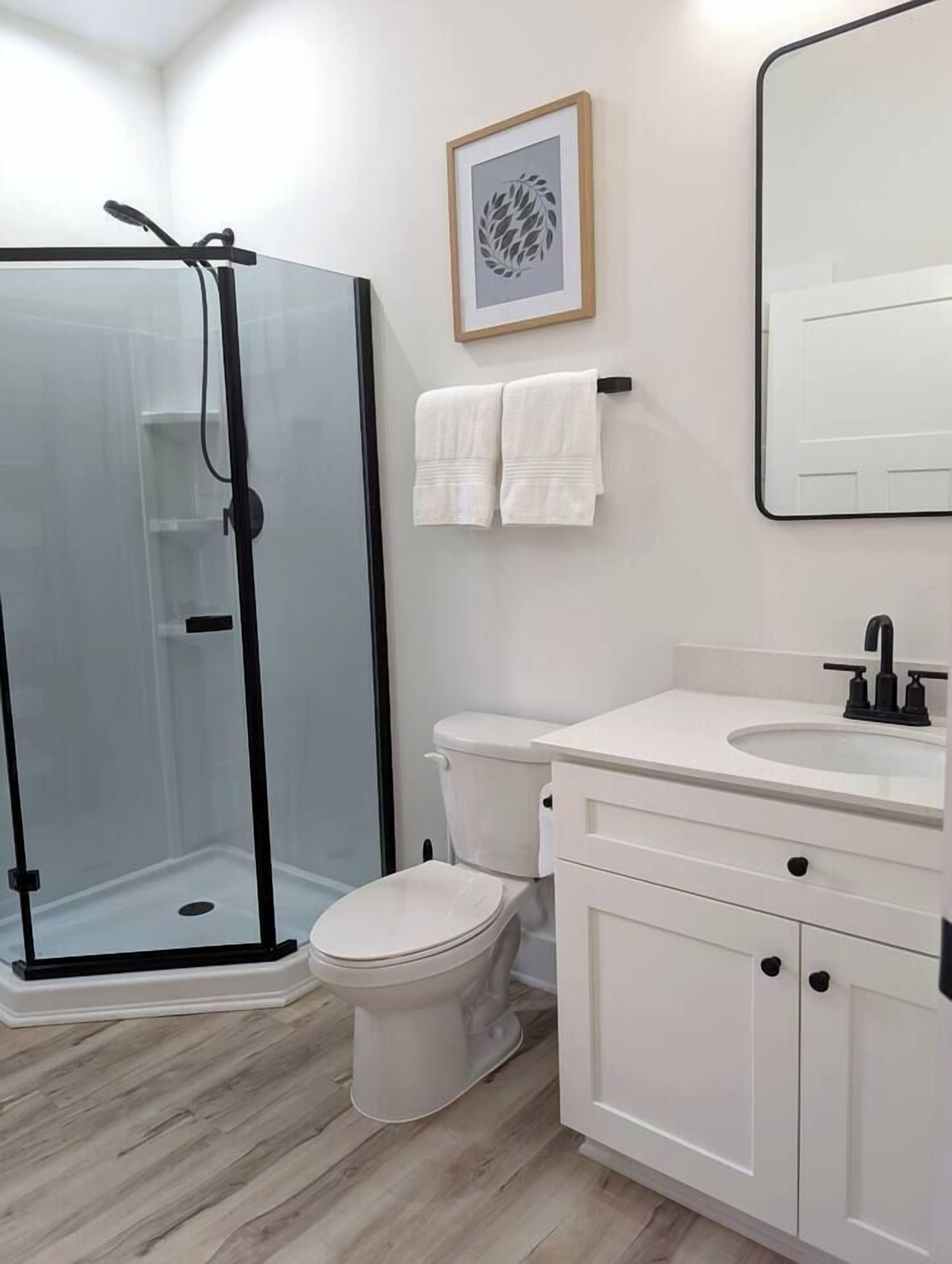 Hair dryer, towels, shampoo, toilet paper