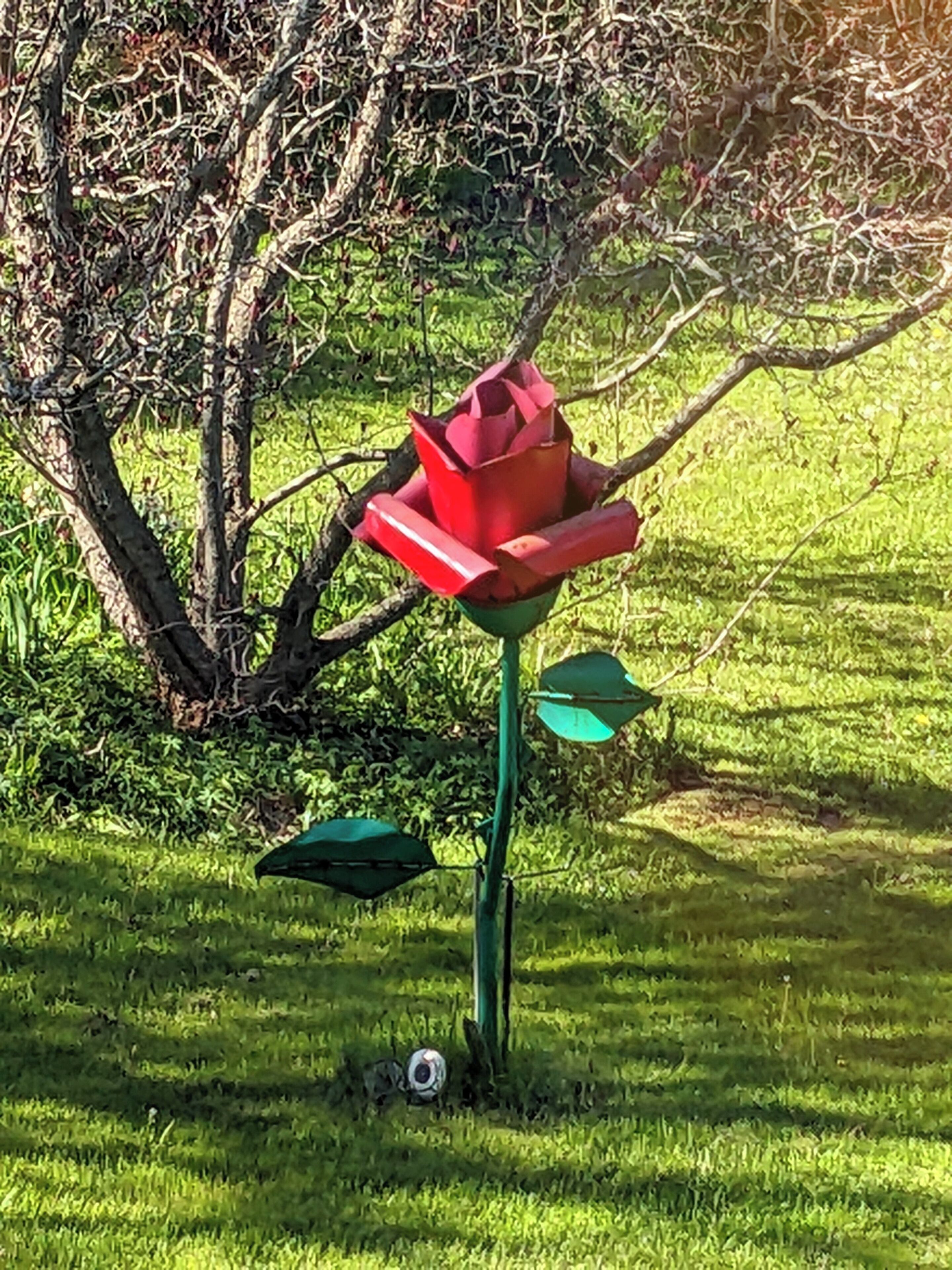 Un jardin orné d’une sculpture florale rouge, de feuilles vertes et d’un petit objet blanc posé sur le sol.