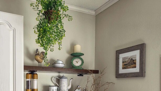 A kitchen with a hanging plant, a clock, a framed picture, and various kitchen utensils.