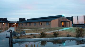 A building with a flat roof, a paved entrance, and a small pond in the foreground.