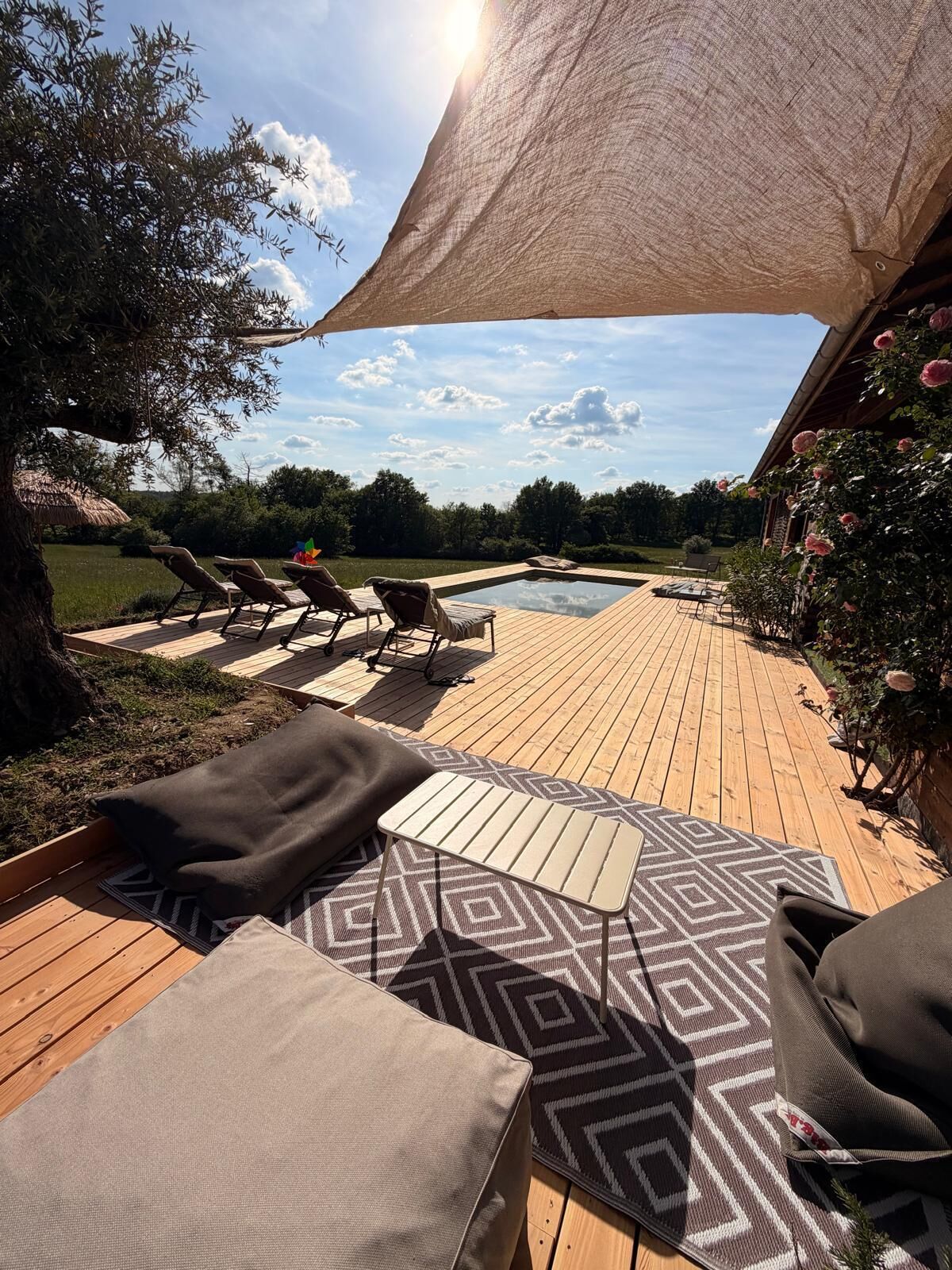 Terraza o patio