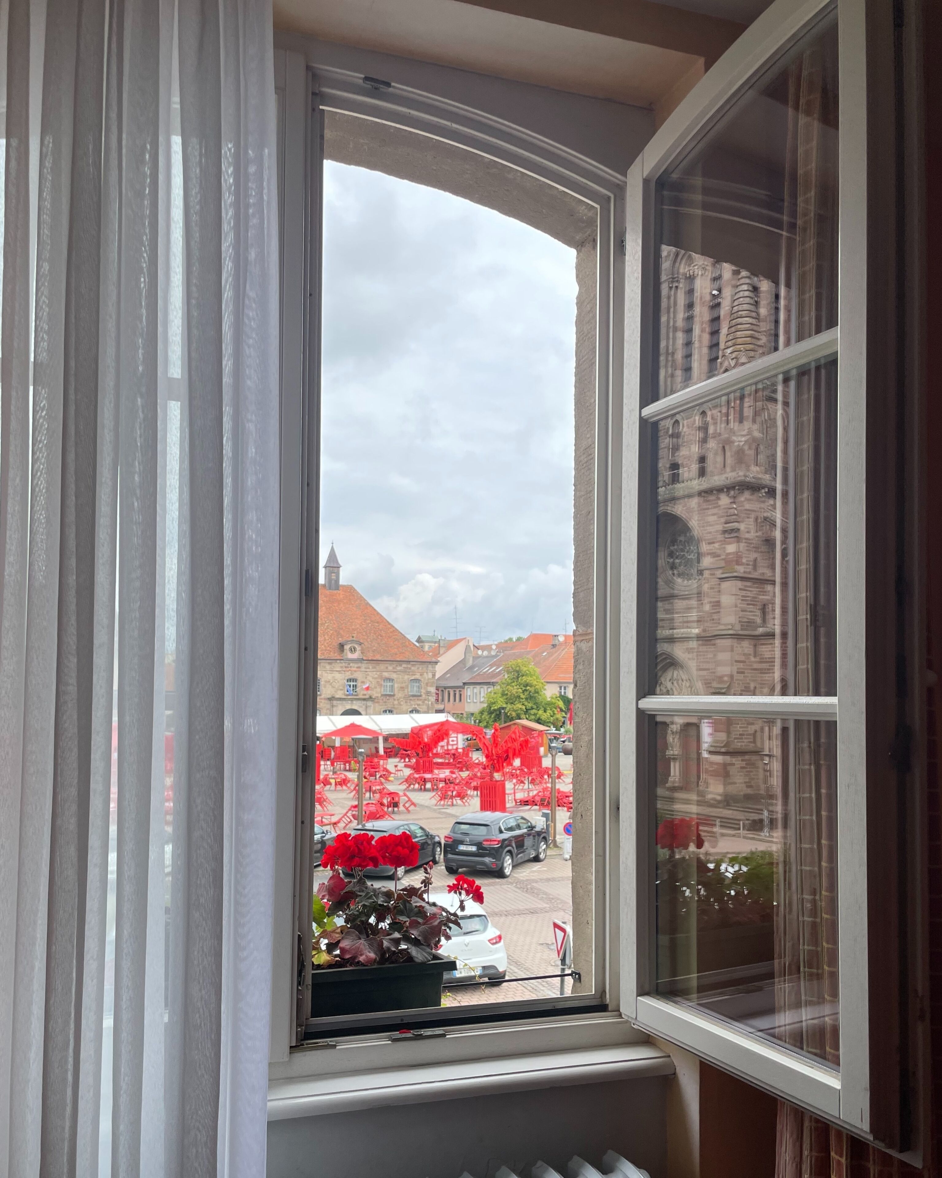 A window with a view of a street, a building with stone architecture, and a plant with red flowers.