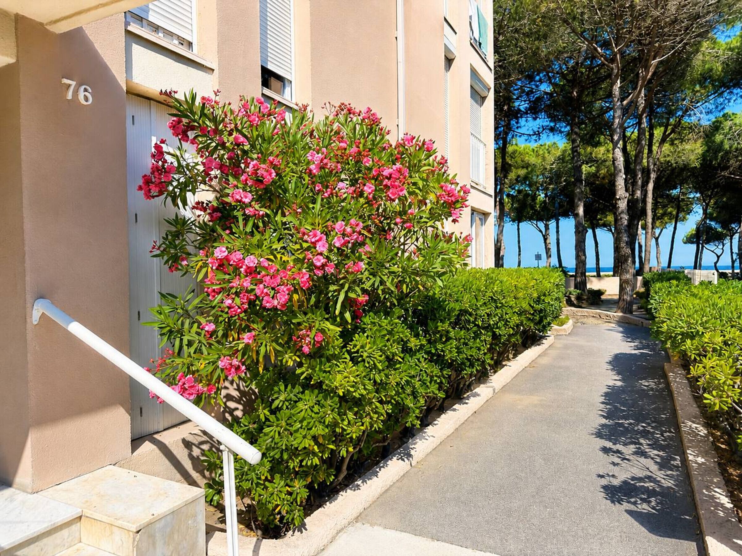 A building with a number '76' on the wall, a pathway, and a row of trees.