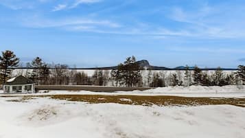 Un paisaje nevado con un pequeño pabellón, una carretera y un bosque al fondo.