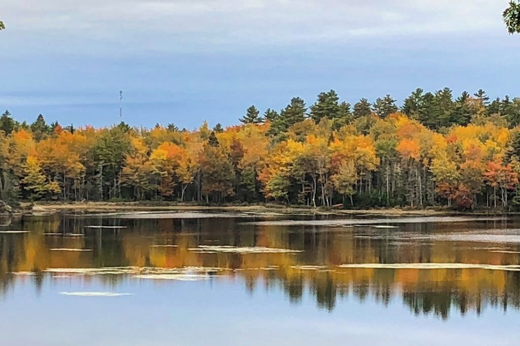 A calm lake surrounded by trees with autumn foliage.