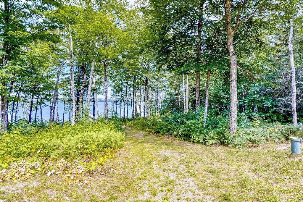 A forested area with a path leading to a body of water.