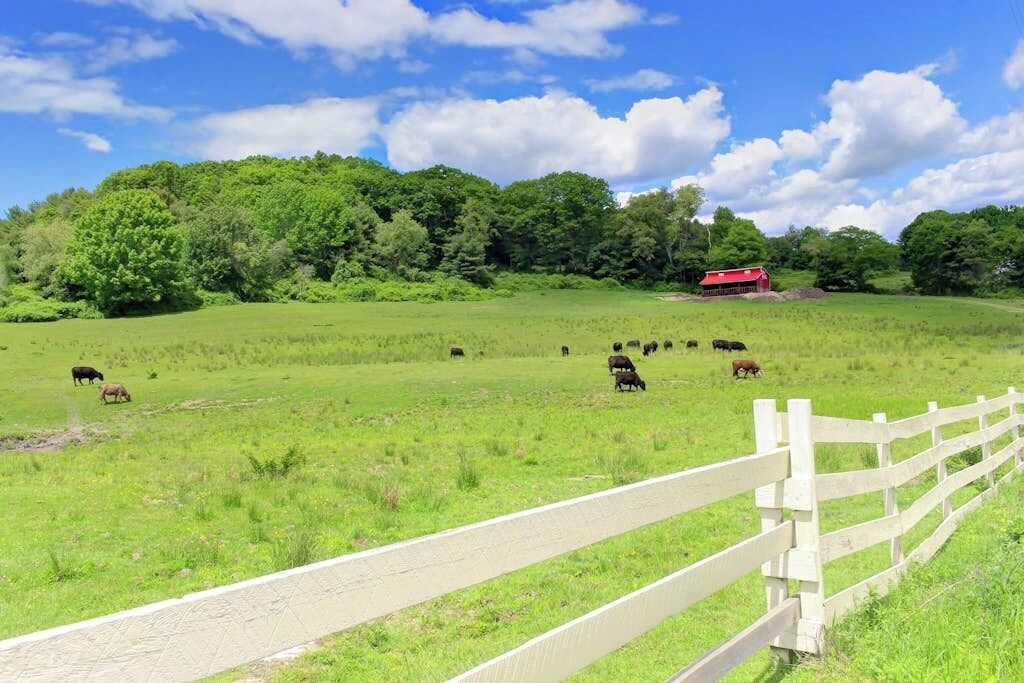 A rural landscape with a white fence, green field, and a red barn in the distance.