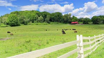 A rural landscape with a white fence, green field, and a red barn in the distance.