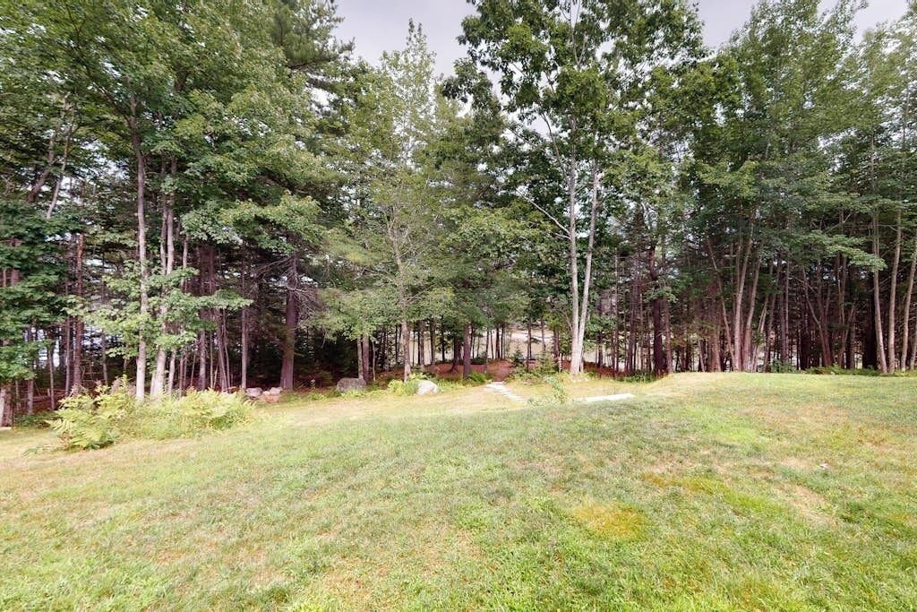 A forested area with a grassy field and a path leading through it.