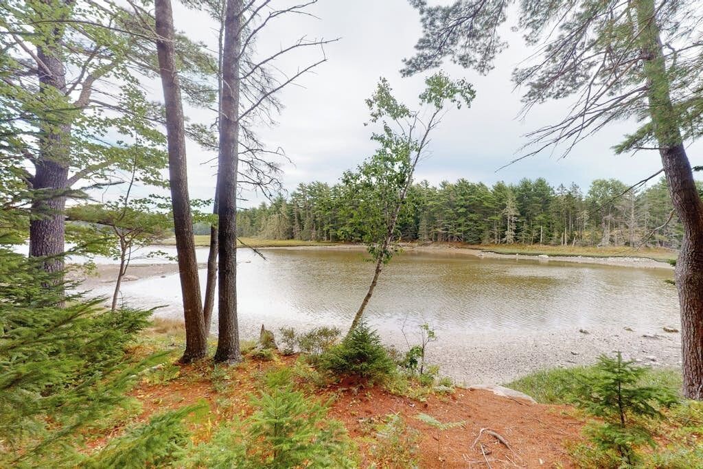 Ein bewaldetes Gebiet mit einem See, Bäumen und einem Feldweg.