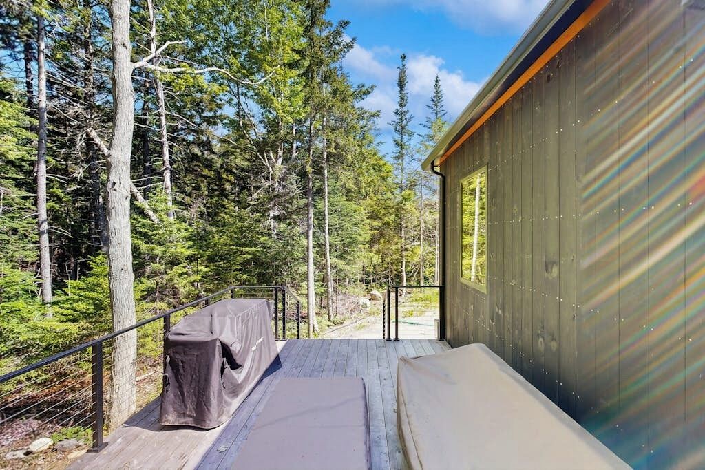 Une terrasse en bois dotée d’un espace salon couvert, entourée de grands arbres et d’une cabane avec une fenêtre.