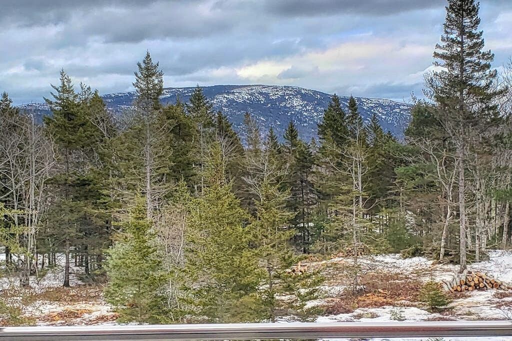 Un paysage boisé où le sol est recouvert de neige et où l’on aperçoit des montagnes au loin.