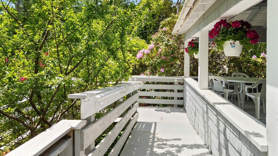 Bright, Spacious Getaway With Full Kitchen, Furnished Porch & Wifi - Near Trails