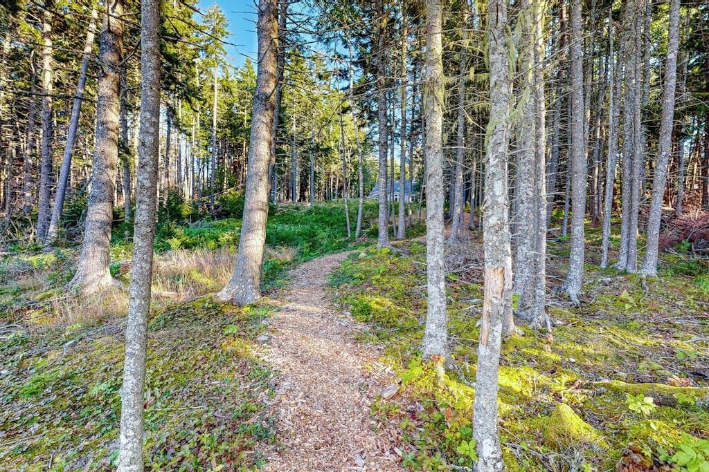A forested area with a dirt path leading to a building.