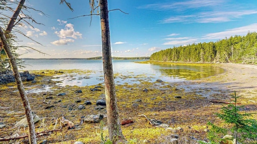 Open and Spacious Riverfront Retreat, Dog-friendly