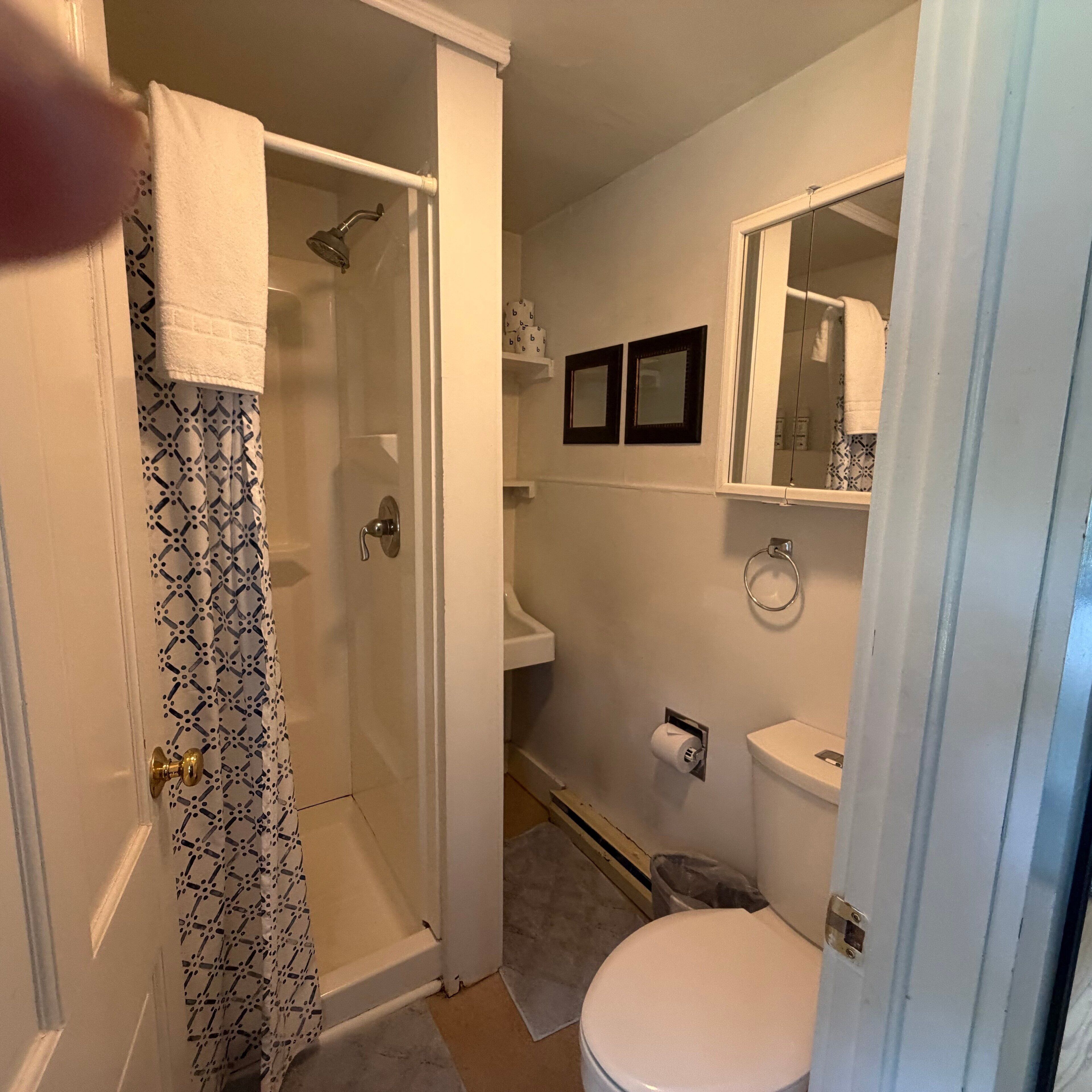 Un bagno con doccia, toilette, lavandino e specchio.